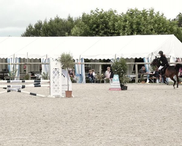 Concours Hippique de Dompierre 2021
