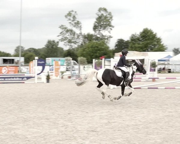 Concours Hippique de Dompierre 2021