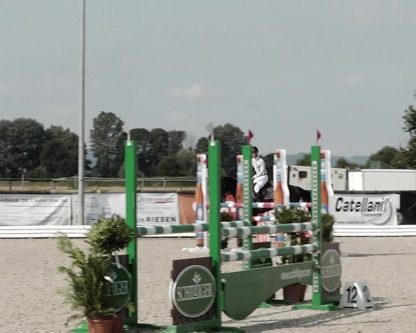 Concours Hippique de Dompierre 2021