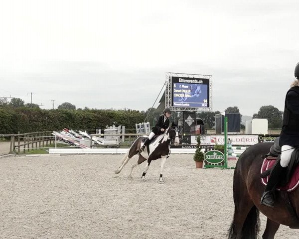 Concours Hippique de Dompierre 2021