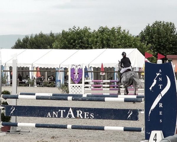 Concours Hippique de Dompierre 2021