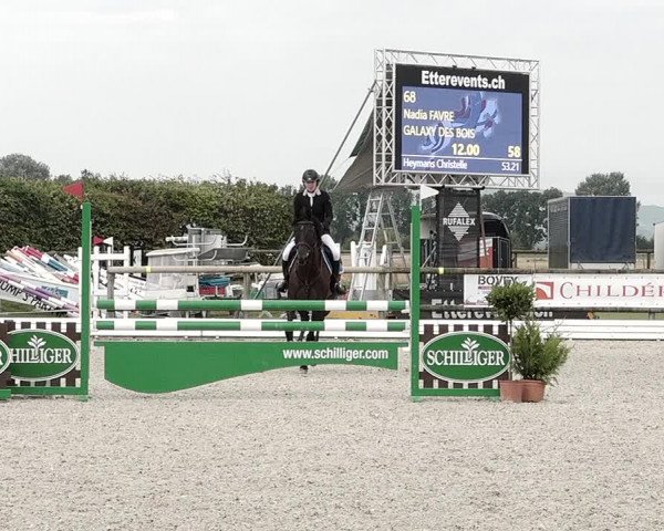 Concours Hippique de Dompierre 2021