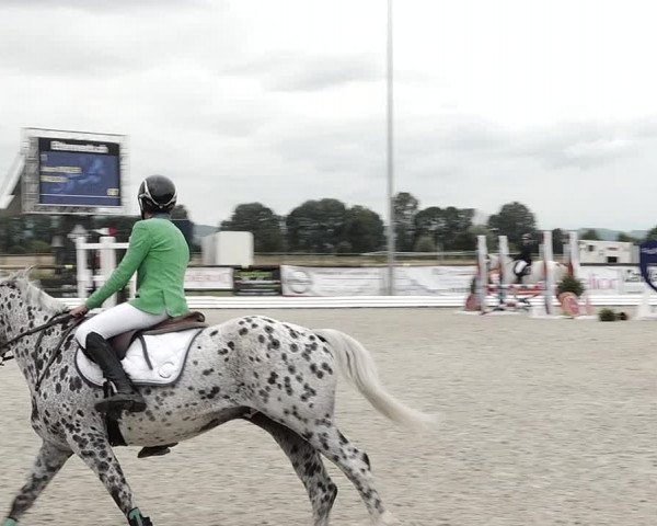 Concours Hippique de Dompierre 2021