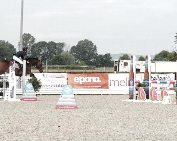Concours Hippique de Dompierre 2021