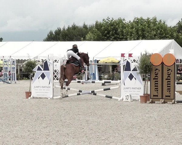 Concours Hippique de Dompierre 2021