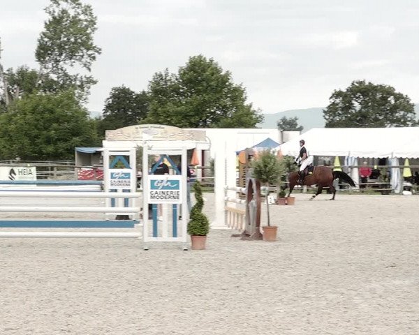 Concours Hippique de Dompierre 2021