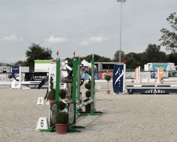 Concours Hippique de Dompierre 2021