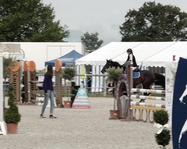 Concours Hippique de Dompierre 2021