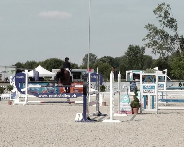Concours Hippique de Dompierre 2021