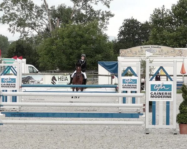 Concours Hippique de Dompierre 2021
