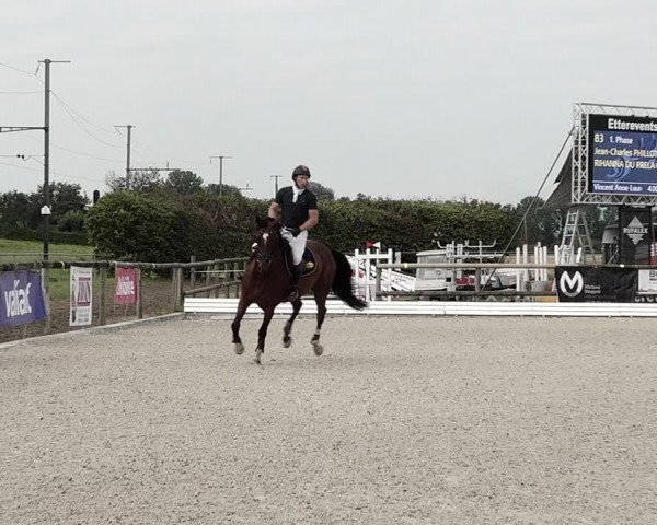 Concours Hippique de Dompierre 2021