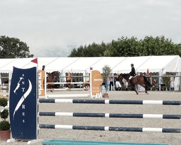 Concours Hippique de Dompierre 2021