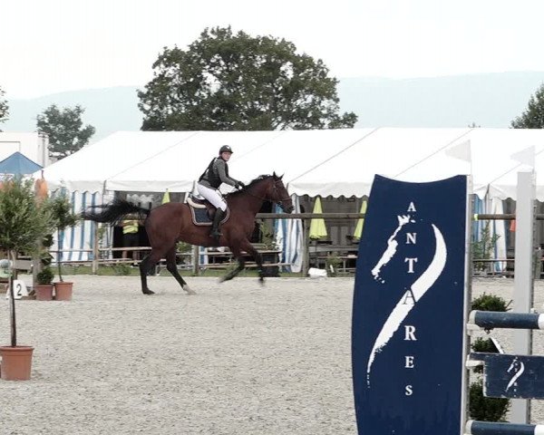 Concours Hippique de Dompierre 2021