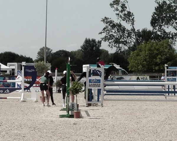 Concours Hippique de Dompierre 2021