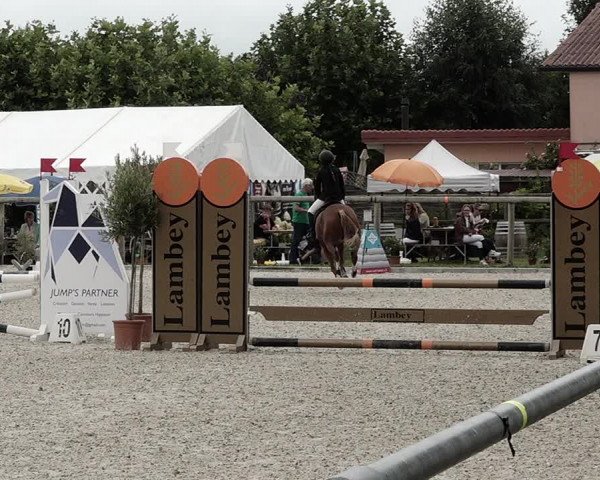Concours Hippique de Dompierre 2021