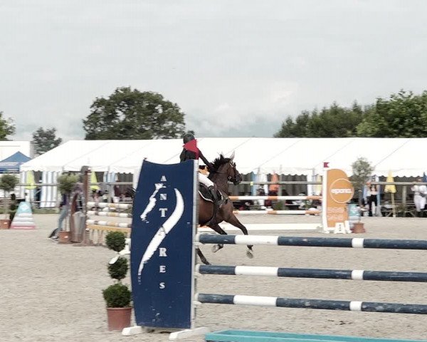 Concours Hippique de Dompierre 2021