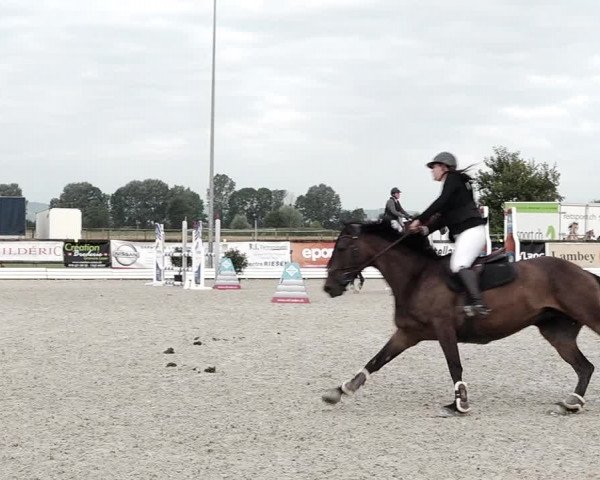 Concours Hippique de Dompierre 2021