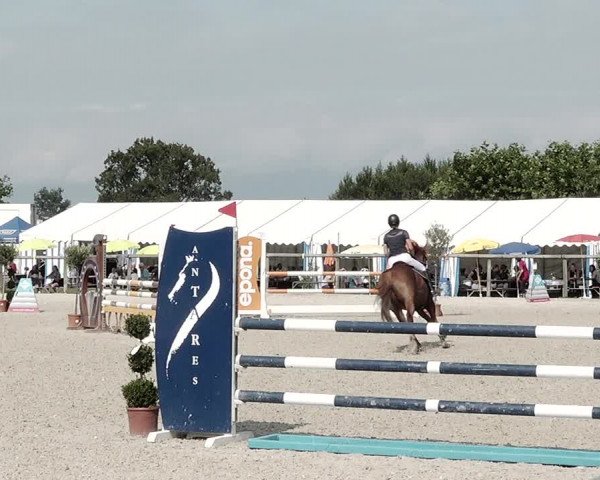 Concours Hippique de Dompierre 2021