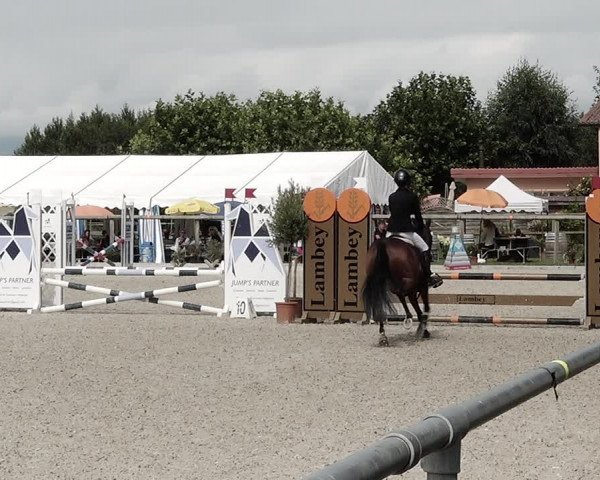 Concours Hippique de Dompierre 2021