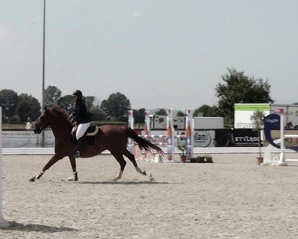 Concours Hippique de Dompierre 2021