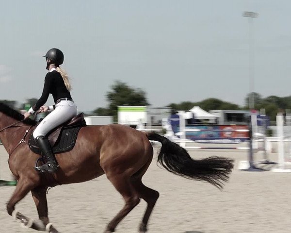 Concours Hippique de Dompierre 2021