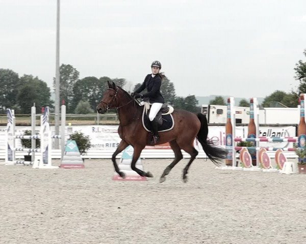 Concours Hippique de Dompierre 2021
