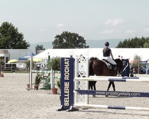 Concours Hippique de Dompierre 2021