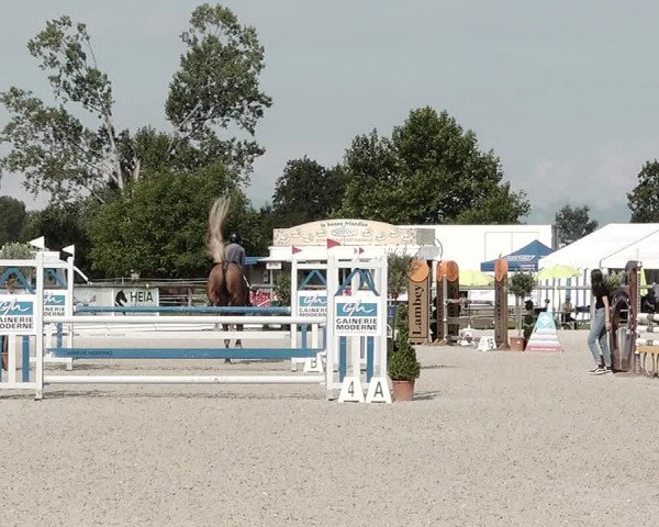 Concours Hippique de Dompierre 2021