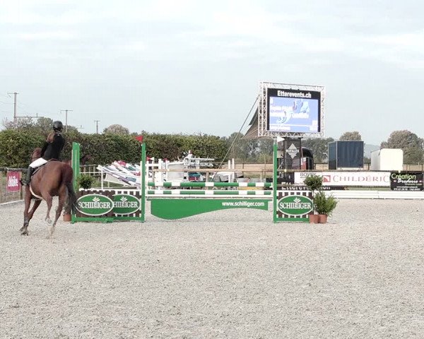 Concours Hippique de Dompierre 2021
