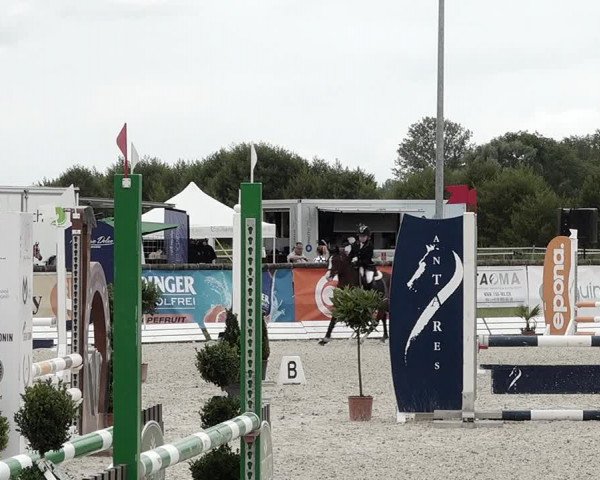 Concours Hippique de Dompierre 2021