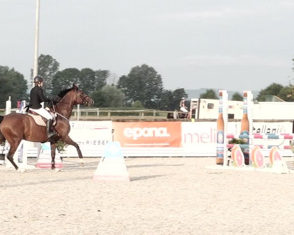 Concours Hippique de Dompierre 2021