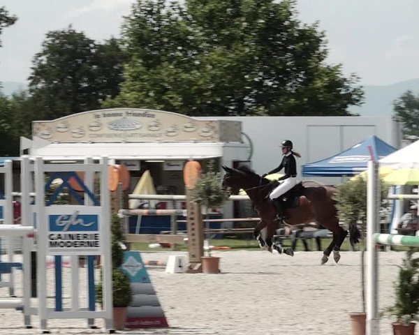 Concours Hippique de Dompierre 2021