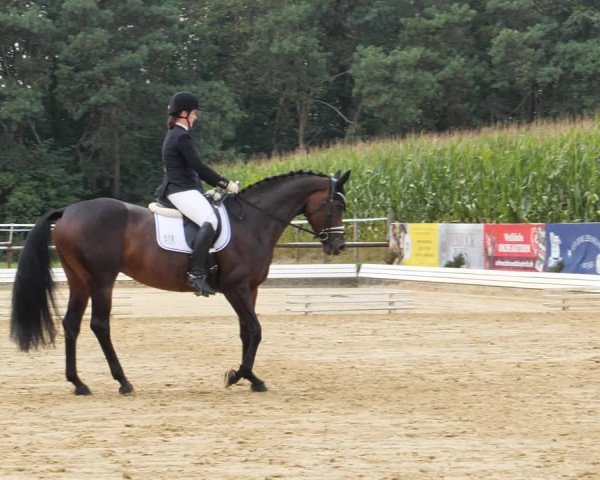 Sommerturnier Ostbevern 2021