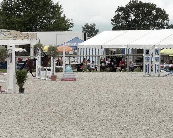 Concours Hippique de Dompierre 2021