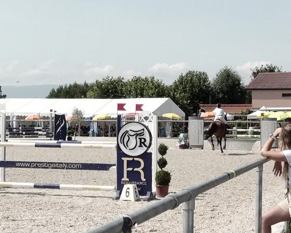 Concours Hippique de Dompierre 2021
