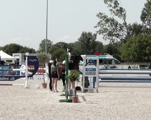 Concours Hippique de Dompierre 2021