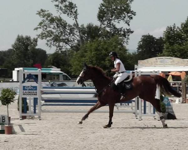 Concours Hippique de Dompierre 2021