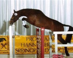 horse Glengold (Hanoverian, 2002)