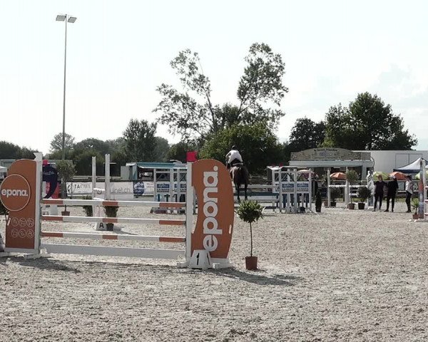 Concours Hippique de Dompierre 2021
