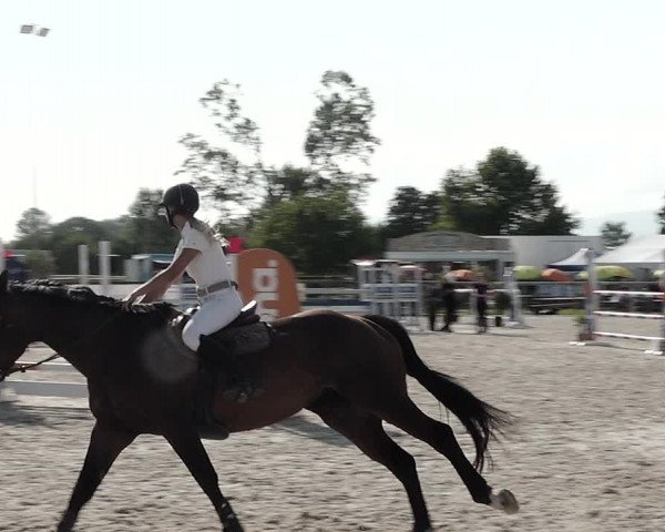 Concours Hippique de Dompierre 2021
