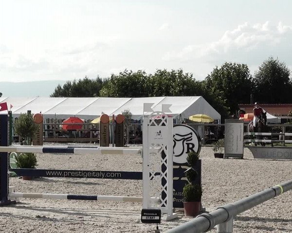 Concours Hippique de Dompierre 2021