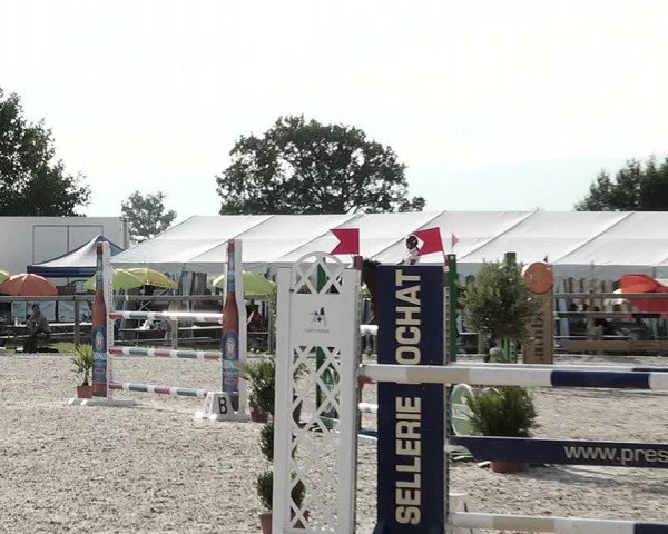 Concours Hippique de Dompierre 2021