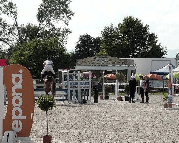 Concours Hippique de Dompierre 2021