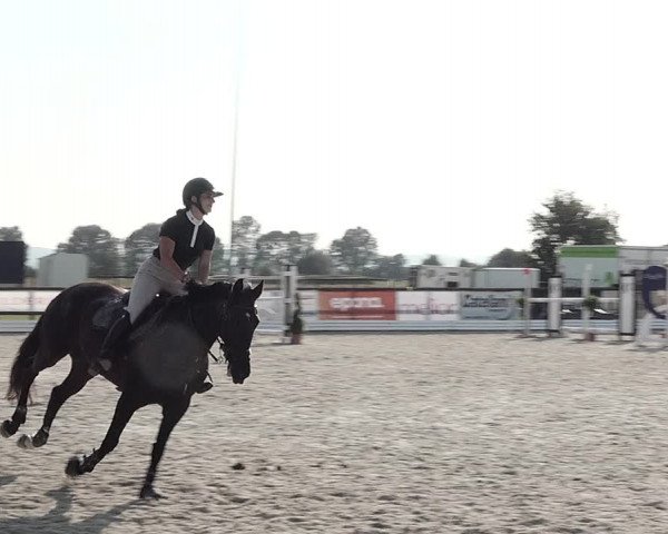 Concours Hippique de Dompierre 2021
