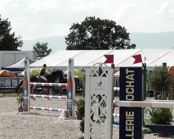 Concours Hippique de Dompierre 2021
