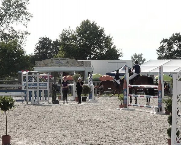 Concours Hippique de Dompierre 2021