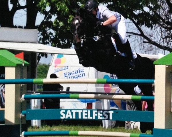 jumper Claire 82 (Hanoverian, 2004, from Cranach)