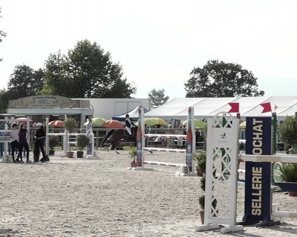 Concours Hippique de Dompierre 2021