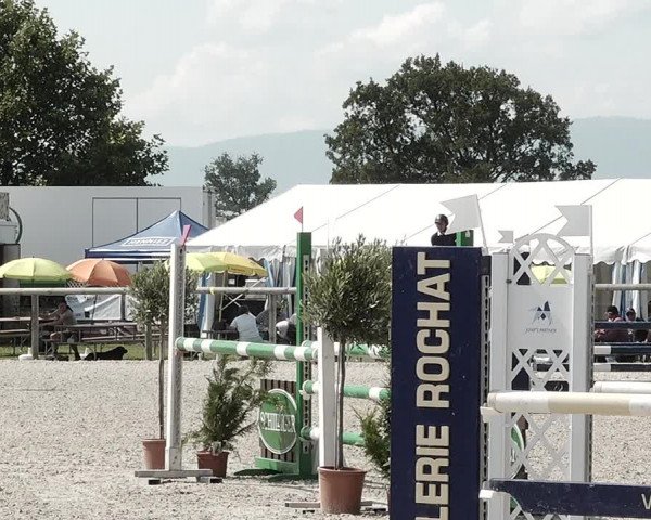 Concours Hippique de Dompierre 2021