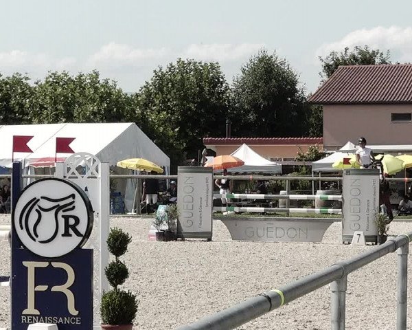 Concours Hippique de Dompierre 2021